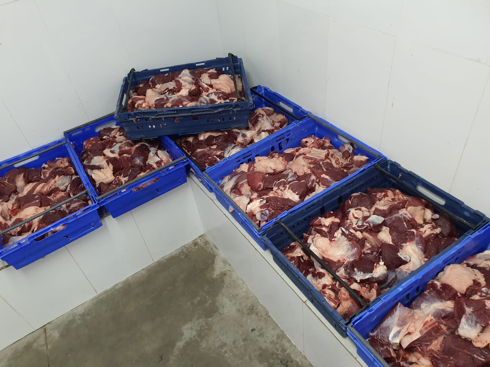 WhatsApp Image 2020-04-15 at 7.04.07 PM.jpeg.jpeg